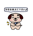 ころたん（個別スタンプ：17）