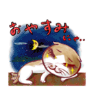 ビビにゃん（個別スタンプ：4）