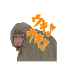 動物界のお喋り（個別スタンプ：24）