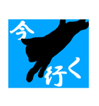 猫実（黒版）In the name of cat（個別スタンプ：1）