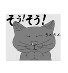 猫実（黒版）In the name of cat（個別スタンプ：11）