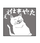 猫実（黒版）In the name of cat（個別スタンプ：12）