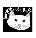 猫実（黒版）In the name of cat（個別スタンプ：13）