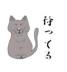 猫実（黒版）In the name of cat（個別スタンプ：24）