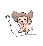 長髪犬テルの日常（個別スタンプ：8）