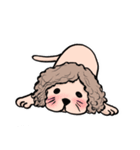 長髪犬テルの日常（個別スタンプ：13）