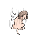 長髪犬テルの日常（個別スタンプ：22）