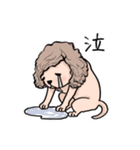 長髪犬テルの日常（個別スタンプ：31）