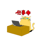 手乗り○猫（個別スタンプ：31）