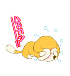 ちのぶのスタンプ（個別スタンプ：37）