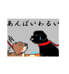 北海道の柴犬とコーギー（個別スタンプ：27）