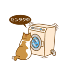 うちのニケちゃん（個別スタンプ：3）