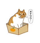 うちのニケちゃん（個別スタンプ：13）