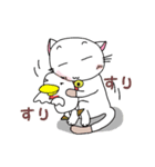 ねこたまさん 2（個別スタンプ：30）