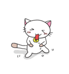 ねこたまさん 2（個別スタンプ：35）