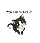 お行儀猫ちゃん（個別スタンプ：5）