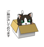 お行儀猫ちゃん（個別スタンプ：7）