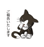 お行儀猫ちゃん（個別スタンプ：9）