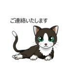 お行儀猫ちゃん（個別スタンプ：14）