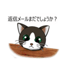 お行儀猫ちゃん（個別スタンプ：25）