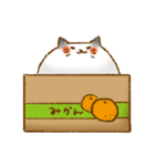 もちもち にゃんこ（個別スタンプ：37）