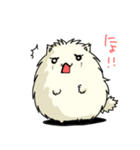 もふもふだよ（個別スタンプ：1）