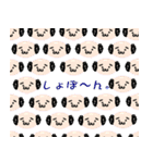 ず～みん。（個別スタンプ：21）