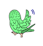 うちのインコ（個別スタンプ：4）