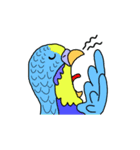 うちのインコ（個別スタンプ：17）