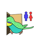 うちのインコ（個別スタンプ：19）