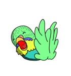 うちのインコ（個別スタンプ：20）