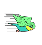 うちのインコ（個別スタンプ：26）