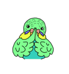 うちのインコ（個別スタンプ：30）
