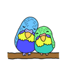 うちのインコ（個別スタンプ：34）