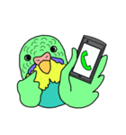 うちのインコ（個別スタンプ：40）