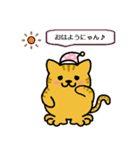 猫ちゃんの毎日（個別スタンプ：1）