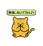 猫ちゃんの毎日（個別スタンプ：16）