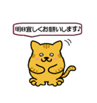 猫ちゃんの毎日（個別スタンプ：18）