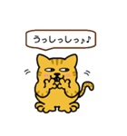 猫ちゃんの毎日（個別スタンプ：20）