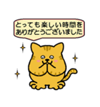 猫ちゃんの毎日（個別スタンプ：39）