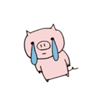 子ぶたのぶうこ。（個別スタンプ：16）