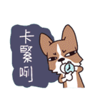 Corgi of OldV Part 2（個別スタンプ：16）