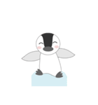 元気な子供ペンギン（個別スタンプ：29）