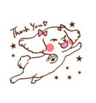 マルチーズ！ミニたん（個別スタンプ：3）