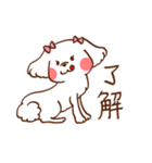 マルチーズ！ミニたん（個別スタンプ：4）