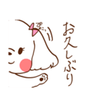マルチーズ！ミニたん（個別スタンプ：5）