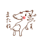 マルチーズ！ミニたん（個別スタンプ：8）