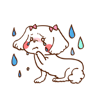 マルチーズ！ミニたん（個別スタンプ：10）