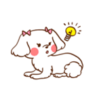 マルチーズ！ミニたん（個別スタンプ：12）
