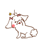 マルチーズ！ミニたん（個別スタンプ：13）